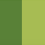 Yellow Green - Amarillo Verdoso