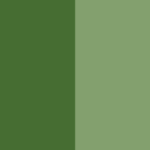 Mineral Green - Verde Mineral